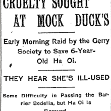 Article in the NY Times, March 20, 1907