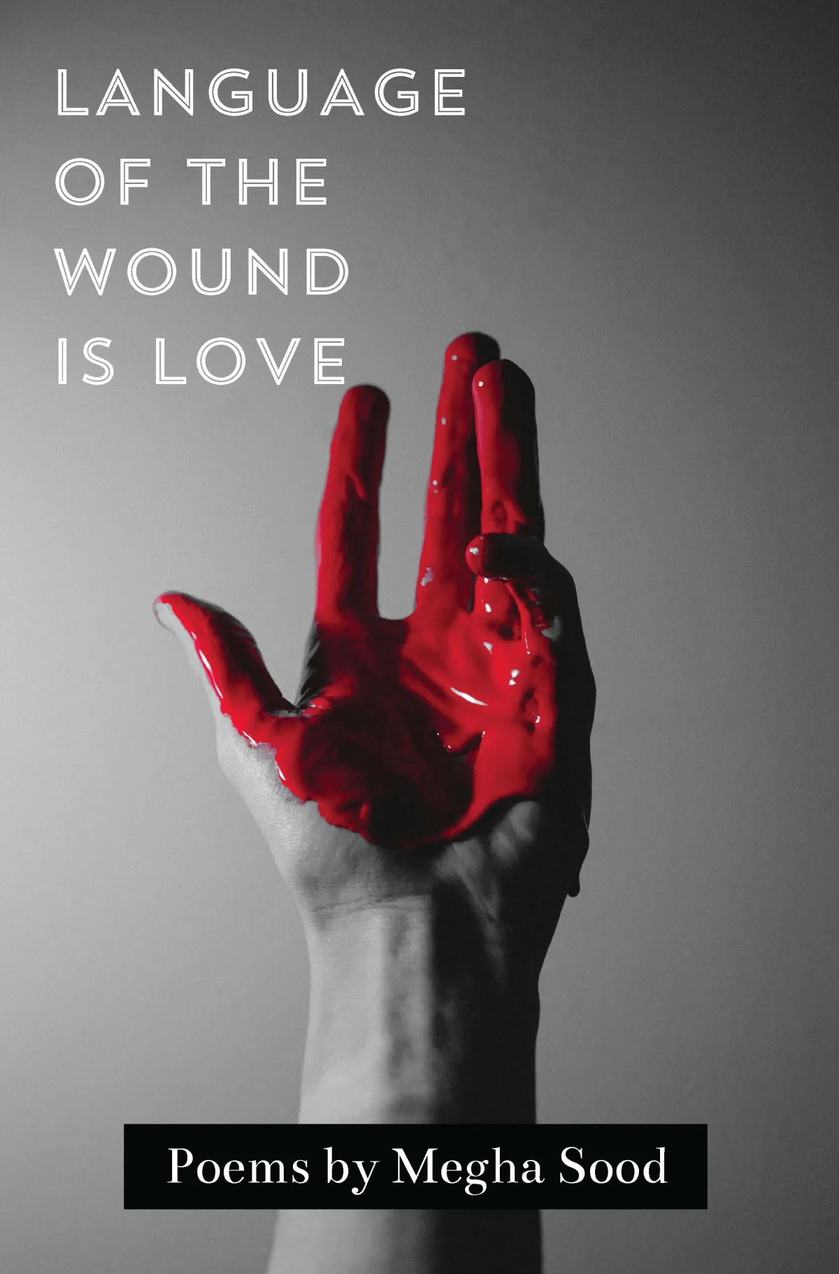 Buch Language of the Wound is Love