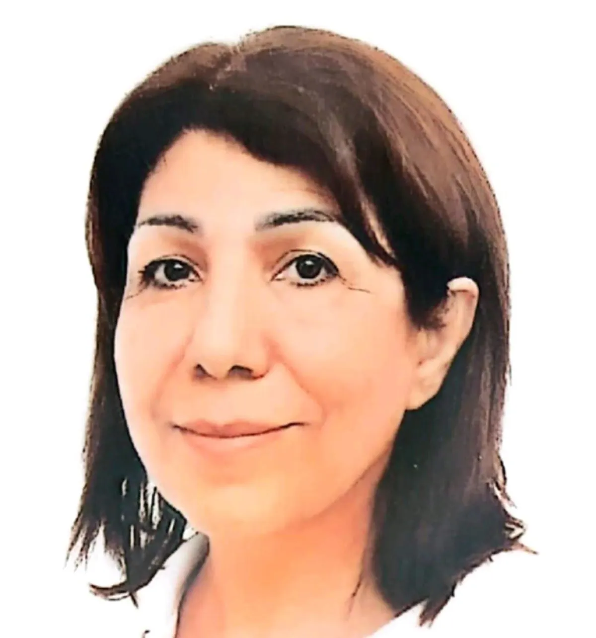 Profile picture for user Najat Abdul Samad
